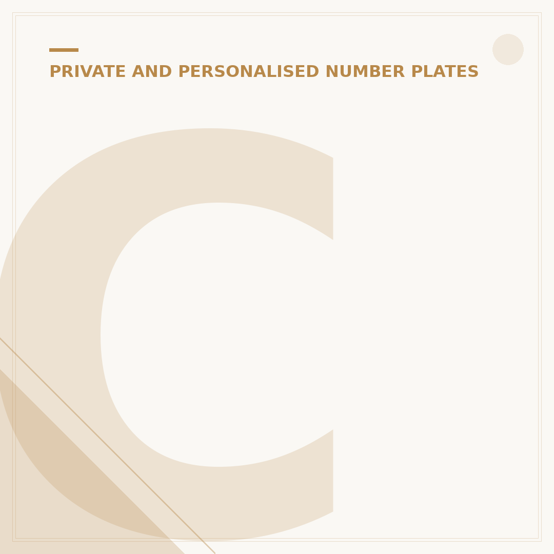 Can You Put a Private Plate on a Mobility Car?