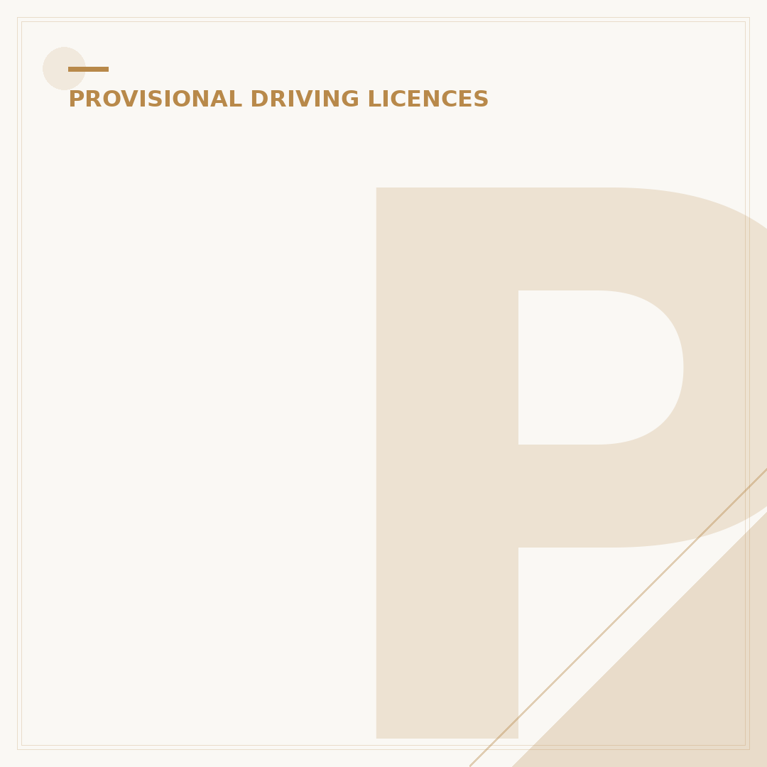 Provisional Driving Licence Northern Ireland