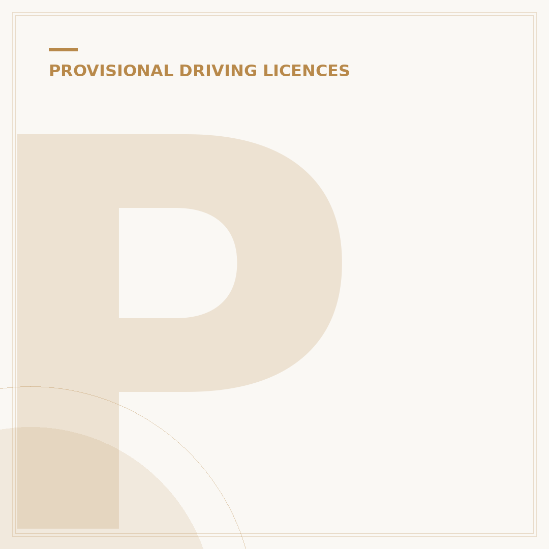 Provisional Driving Licence Number