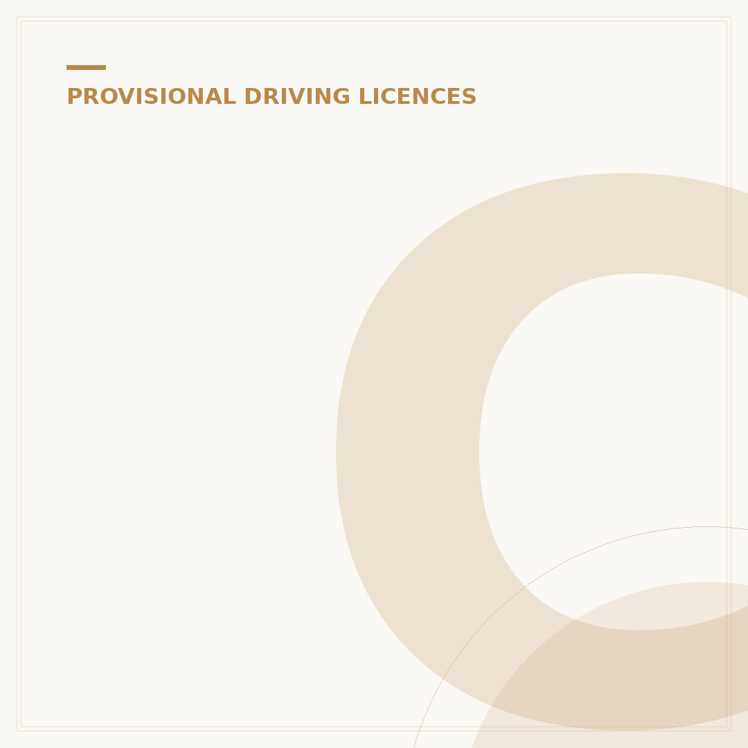 Can You Use Provisional Licence as ID in the UK?