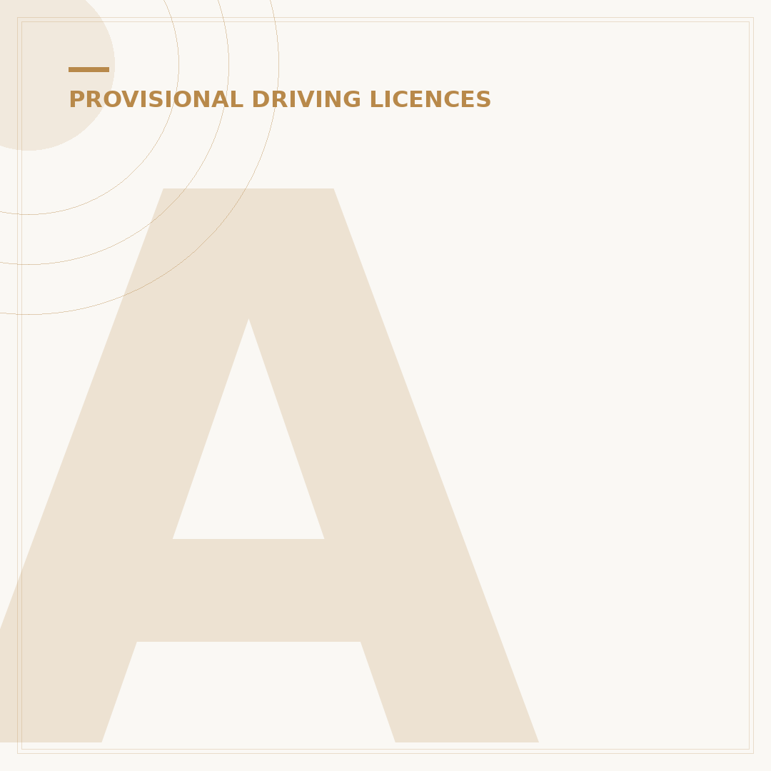 A Provisional UK Driving Licence