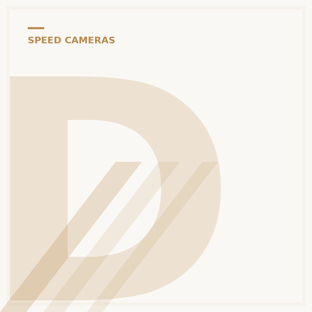 Do Every Red Light Have a Camera?