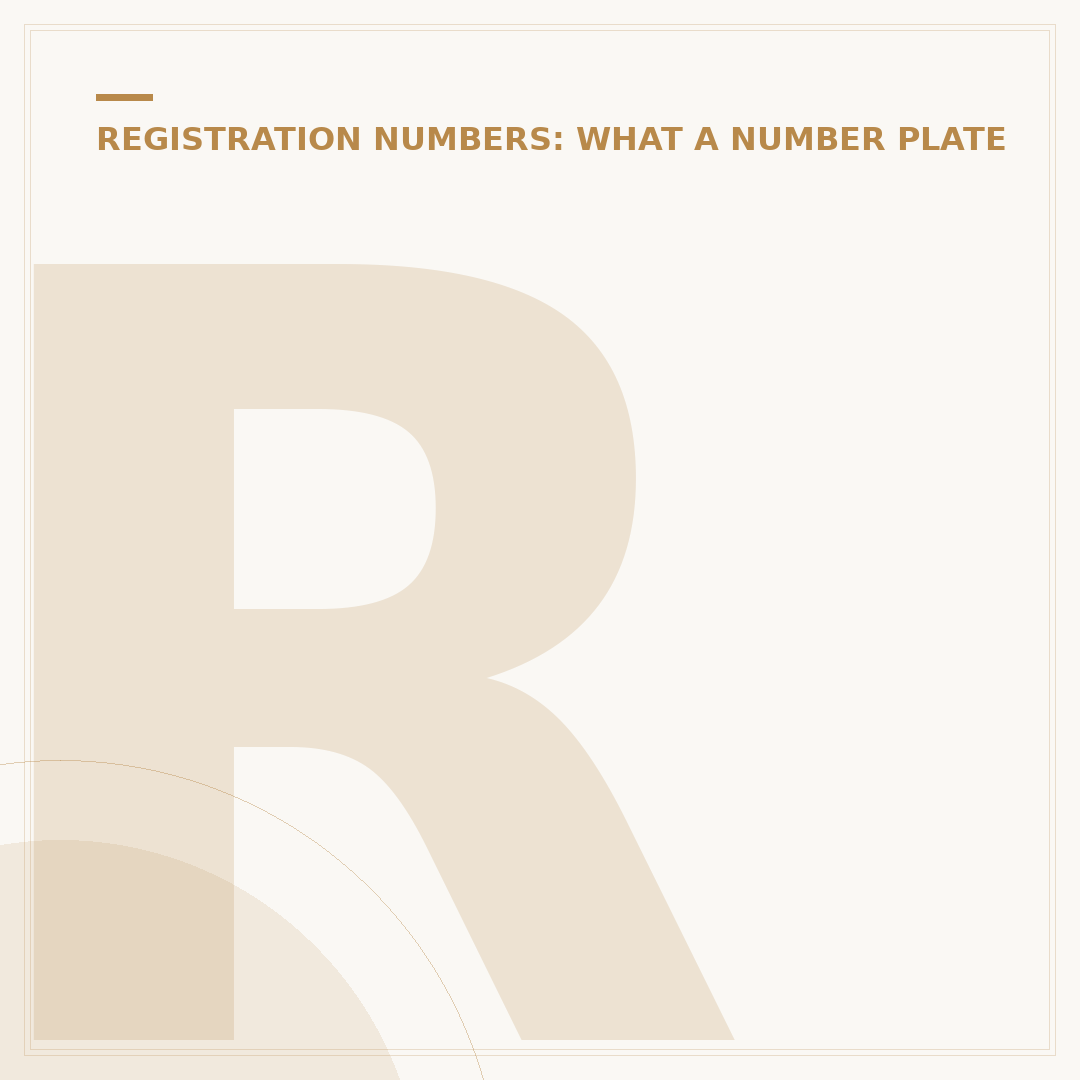 Removing a Number Plate from a Car