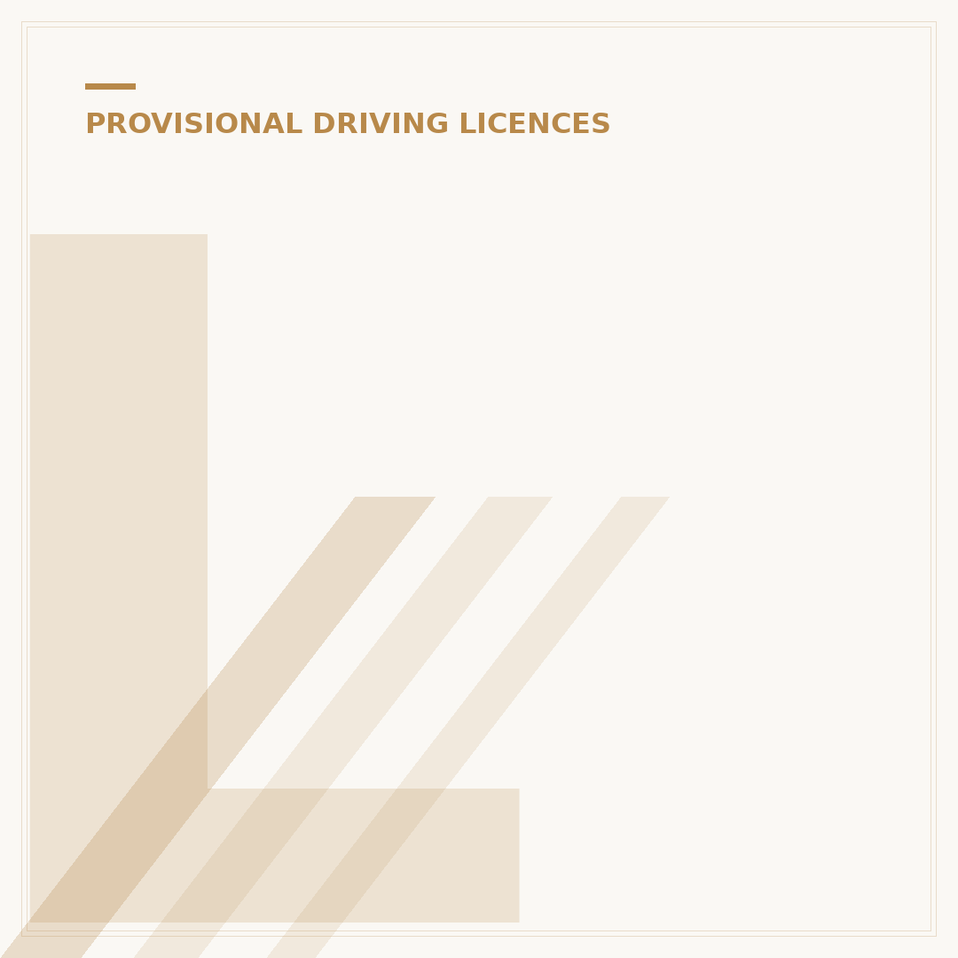 Lost Provisional Licence