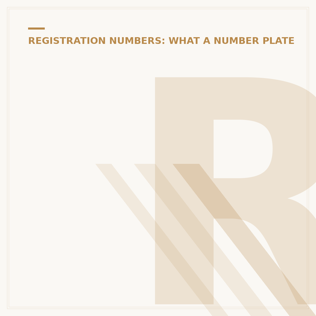 Report Illegal Number Plates: Official Guidance