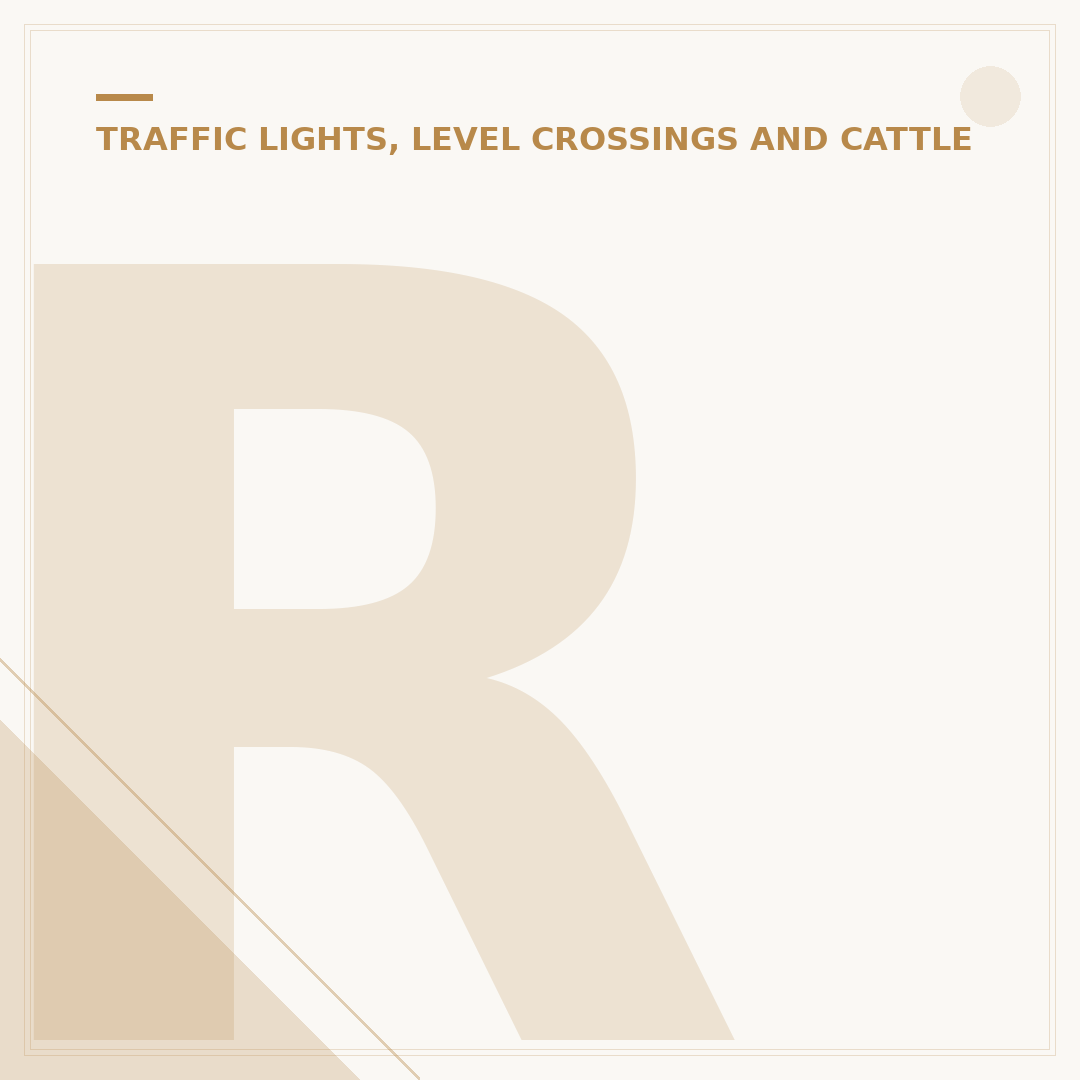 Report Traffic Lights Not Working Safely