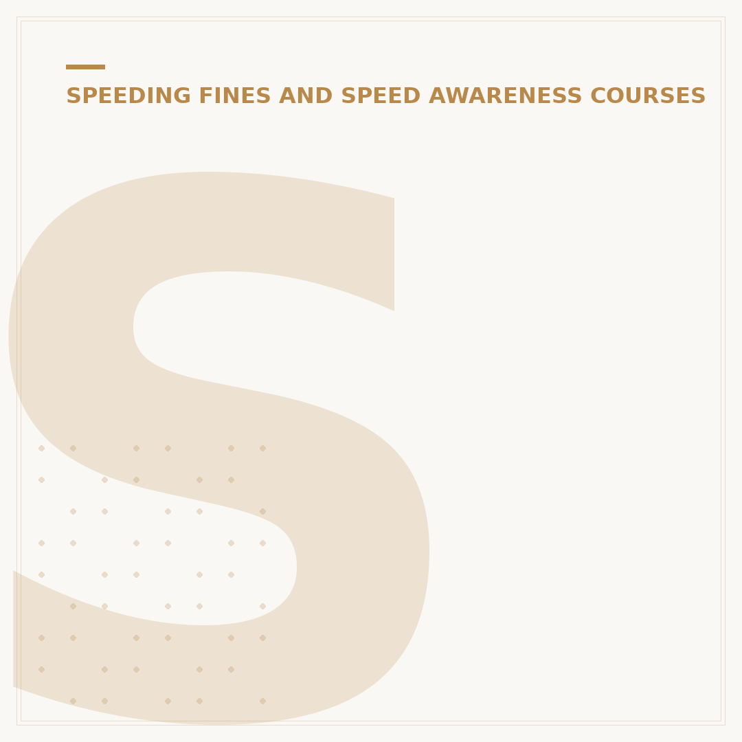 Speed Awareness Course Instead of Points