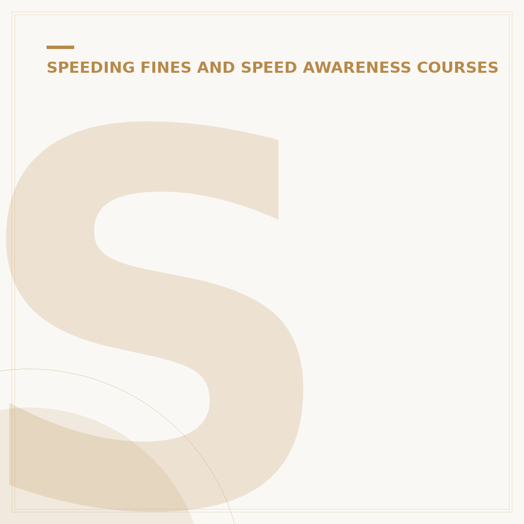 Speeding Points: How They Work and What They Mean