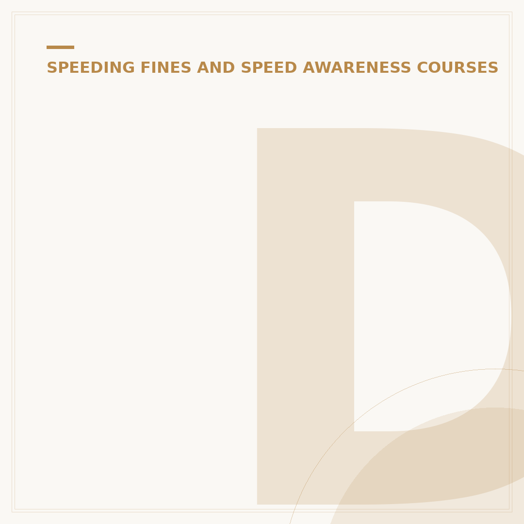 Does a Speeding Ticket Affect Your Insurance?