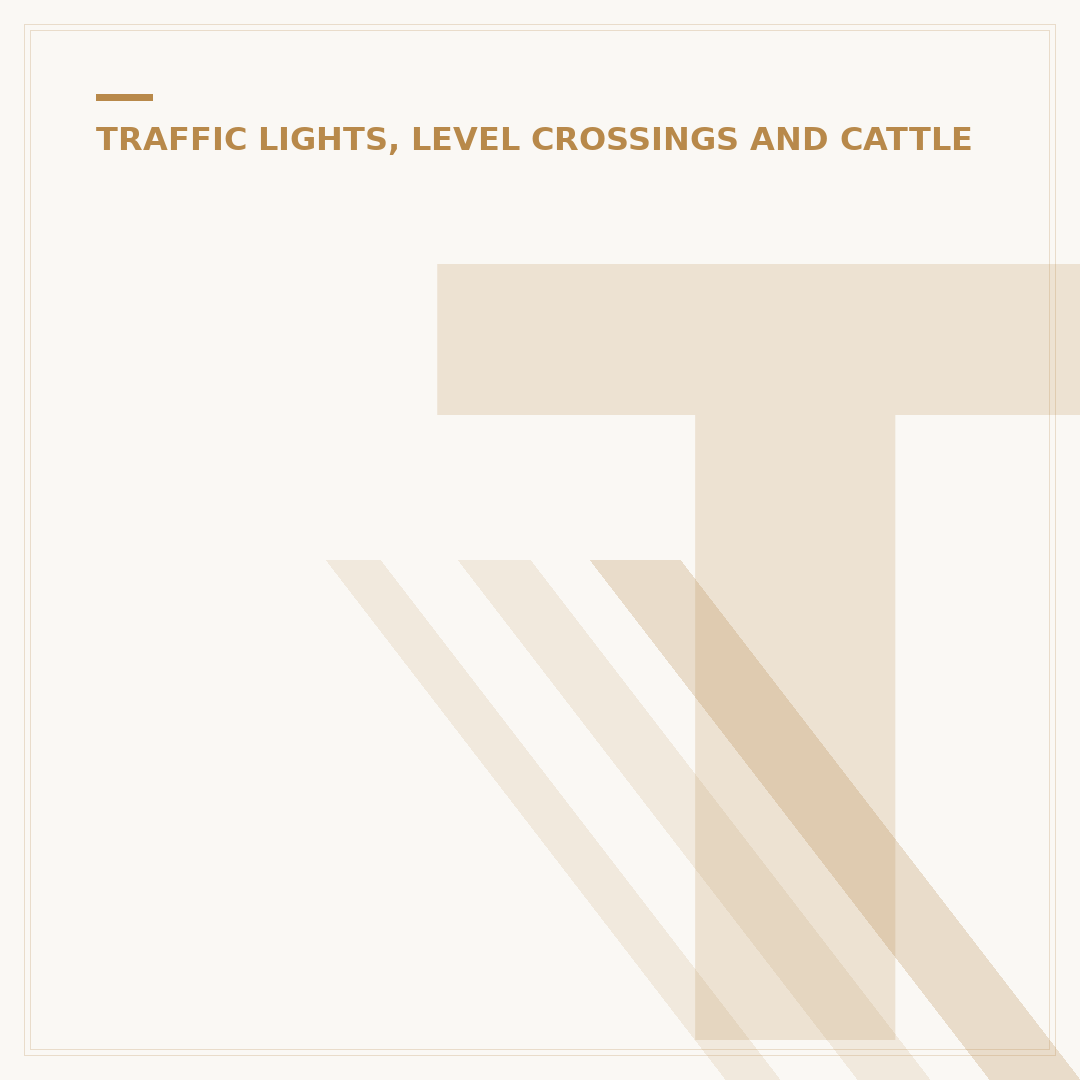 Temporary Traffic Lights: Do They Have Cameras?