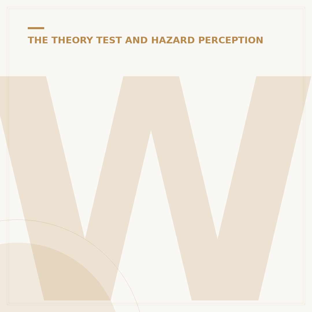 What Age Can You Do Your Theory Test?