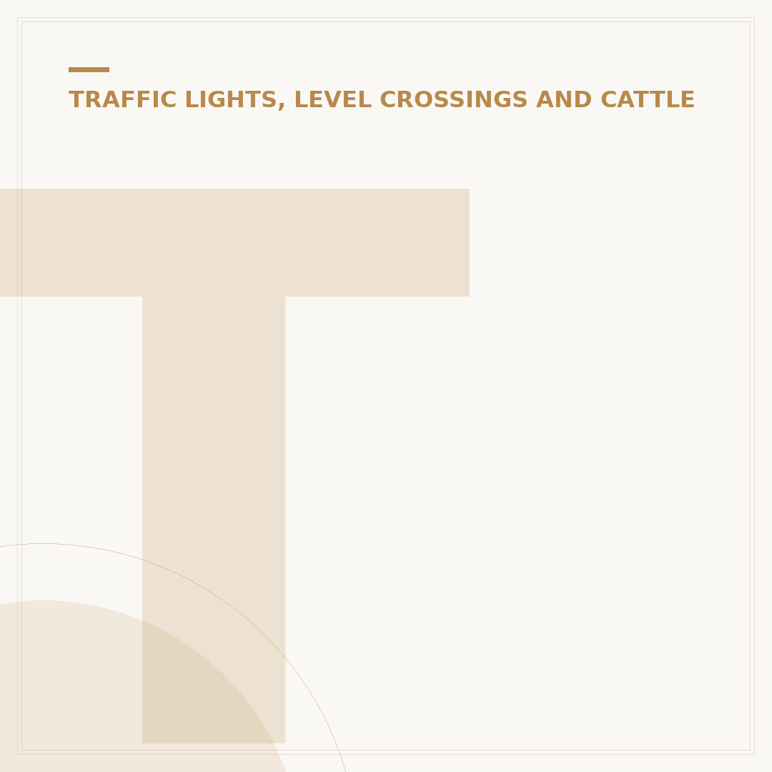 Traffic Lights for Kinders: Child Safety Solutions