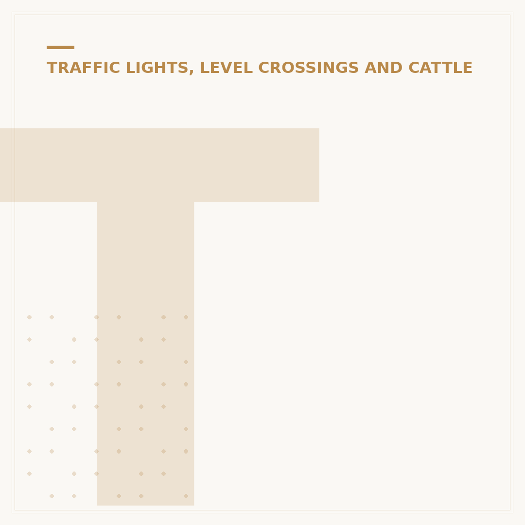 Train Level Crossing Safety and Signage