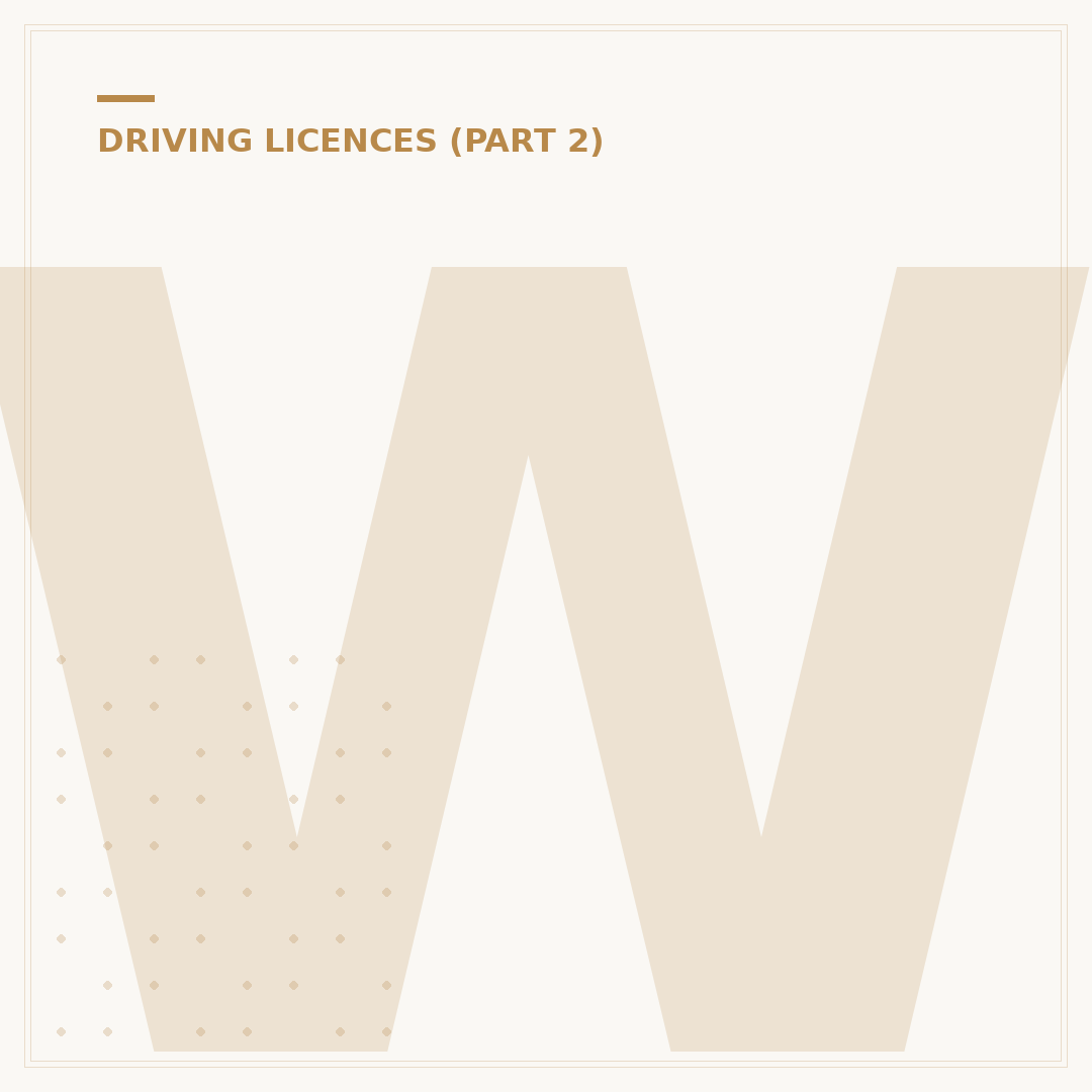 What Does a UK Driving Licence Look Like? Features Explained