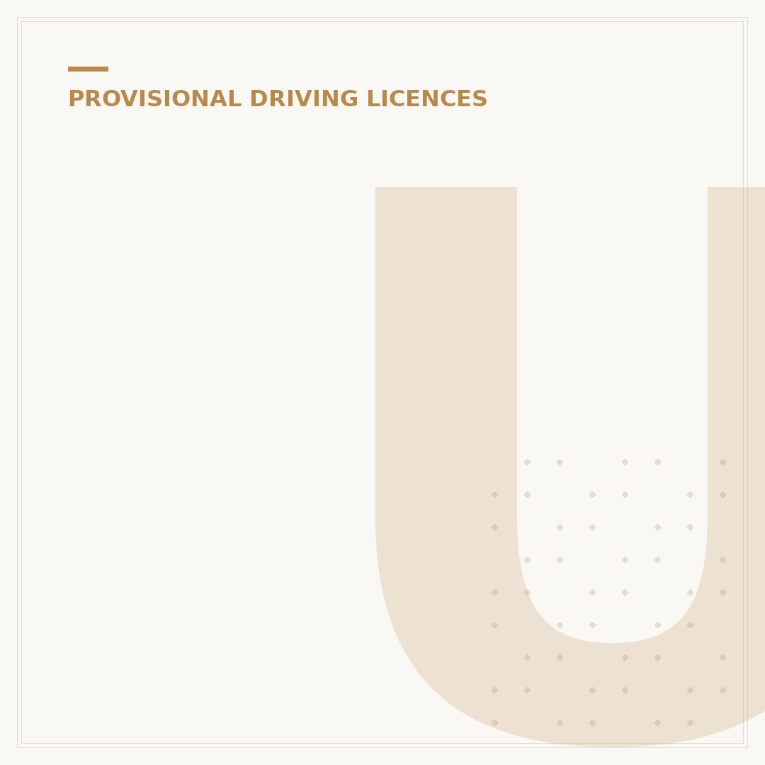 Update Your Provisional Driving Licence Details