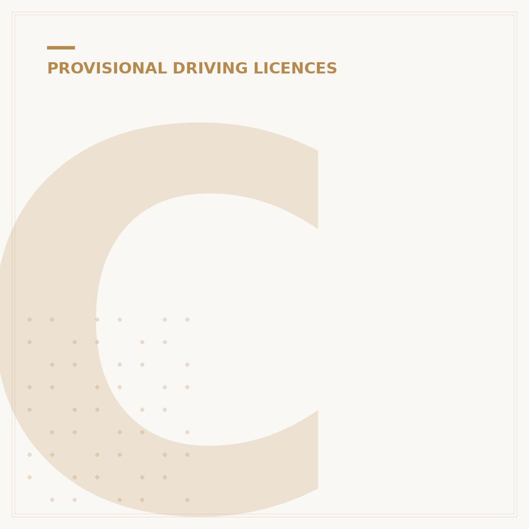 Can You Vote With a Provisional Driving Licence UK?