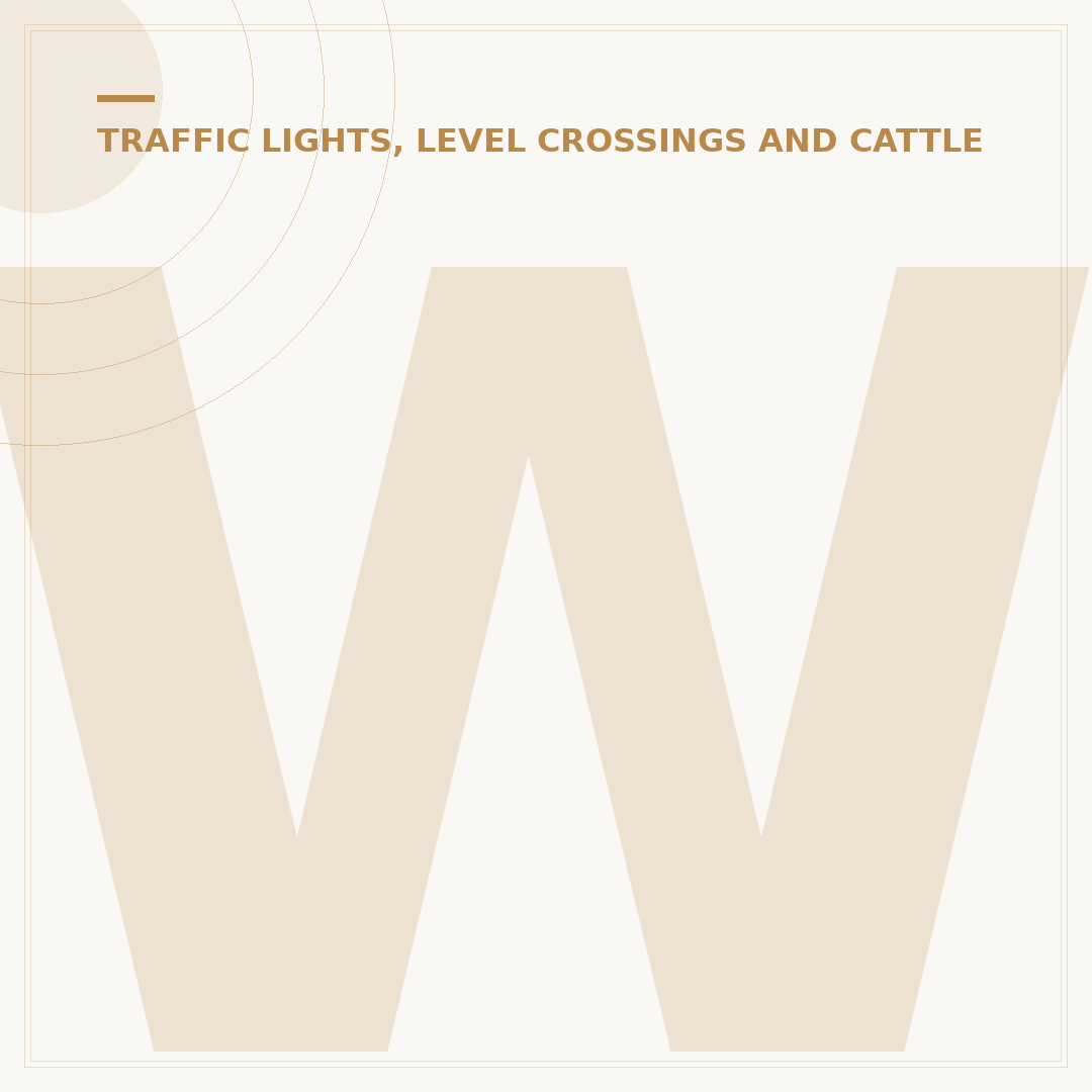 What Is A Level Crossing? Safety and Usage Explained