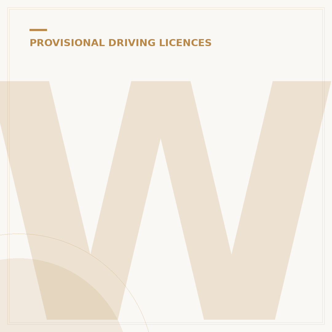 Who Can Sign a Provisional Driving Licence Application?