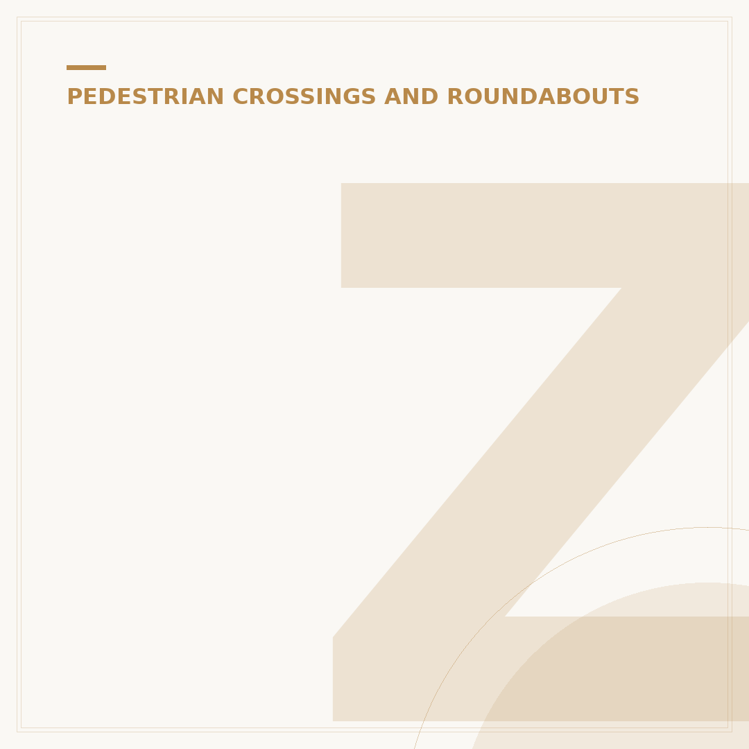 Zebra Crossing Lights Explained: Understanding Signals