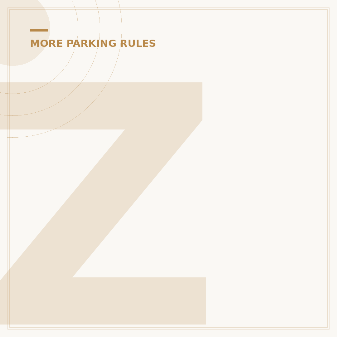 Zig Zag White Lines: What They Mean