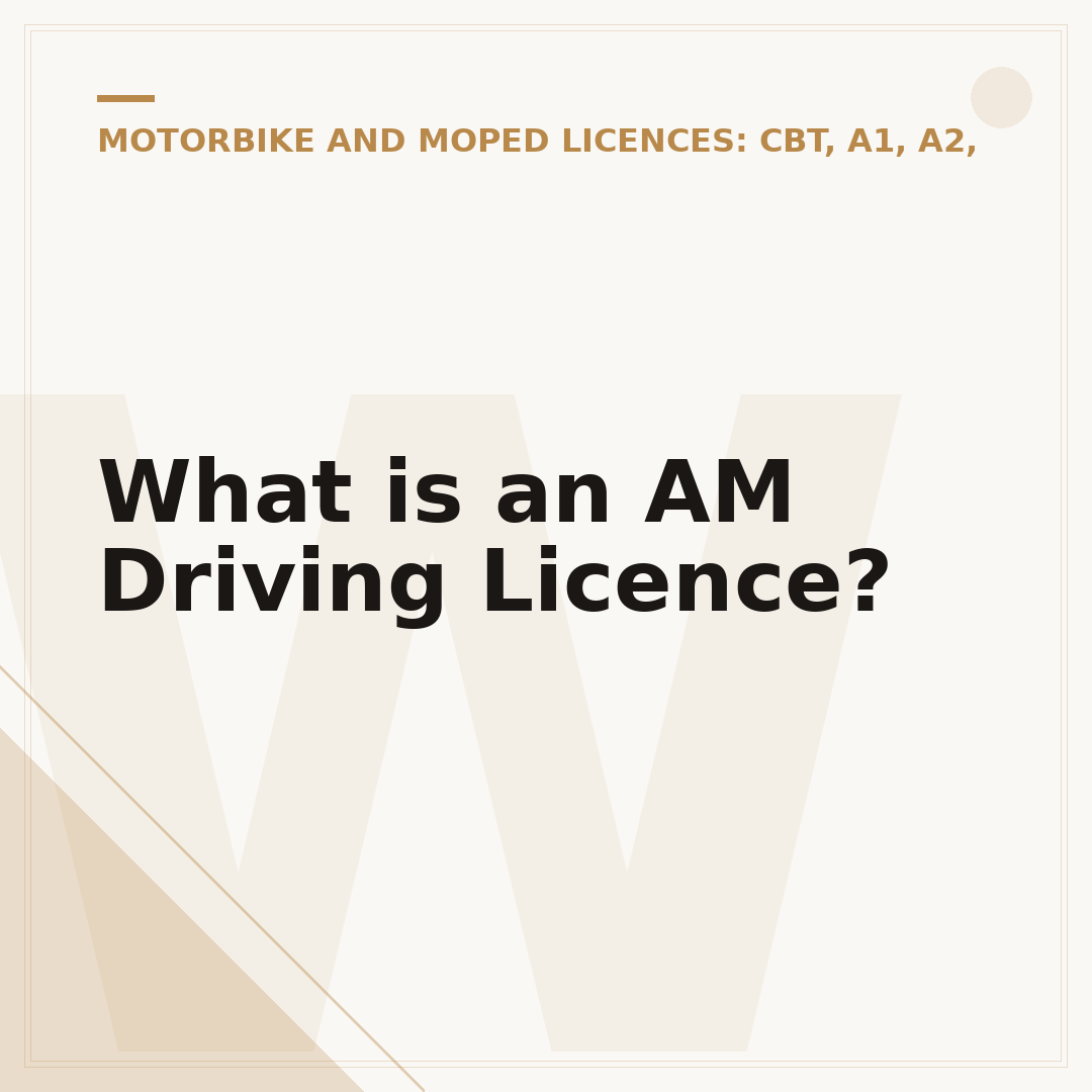 What is an AM Driving Licence?