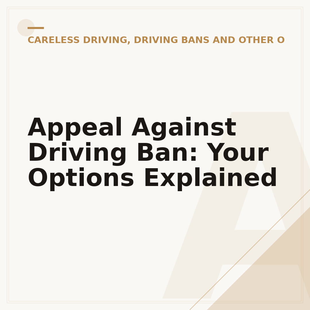 Appeal Against Driving Ban: Your Options Explained
