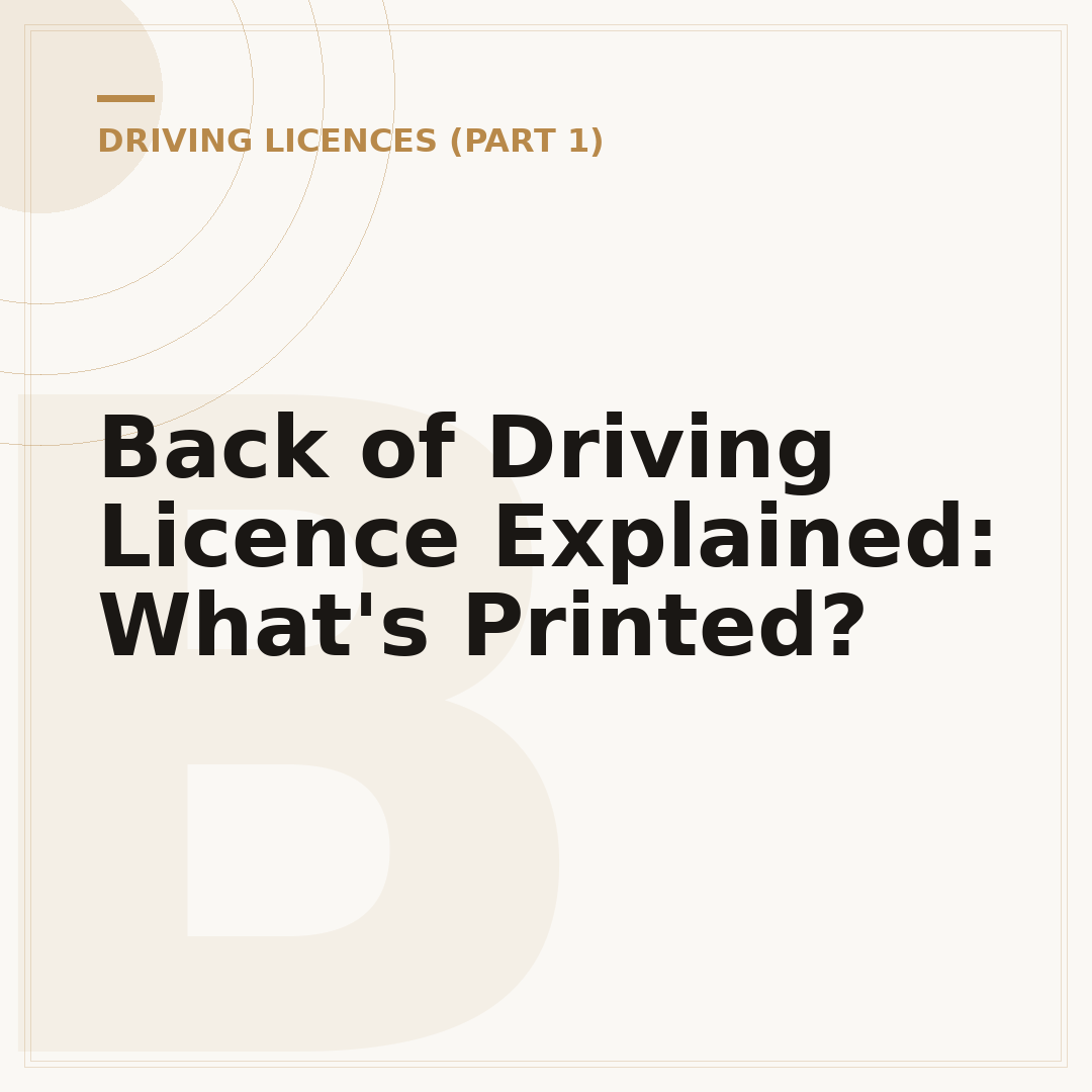 Back of Driving Licence Explained: What's Printed?