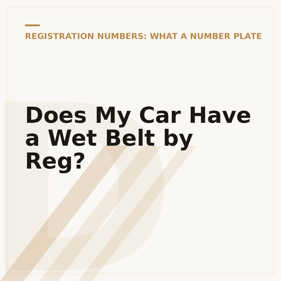 Does My Car Have a Wet Belt by Reg?