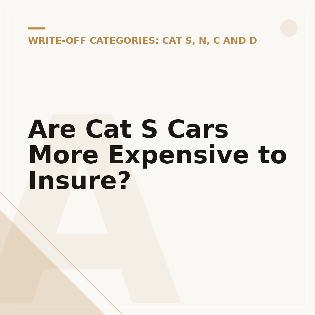 Are Cat S Cars More Expensive to Insure?