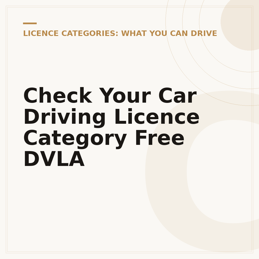 Check Your Car Driving Licence Category Free DVLA