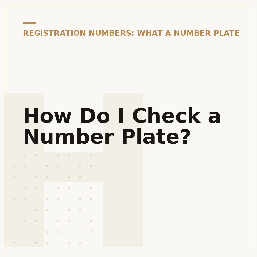 How Do I Check a Number Plate?