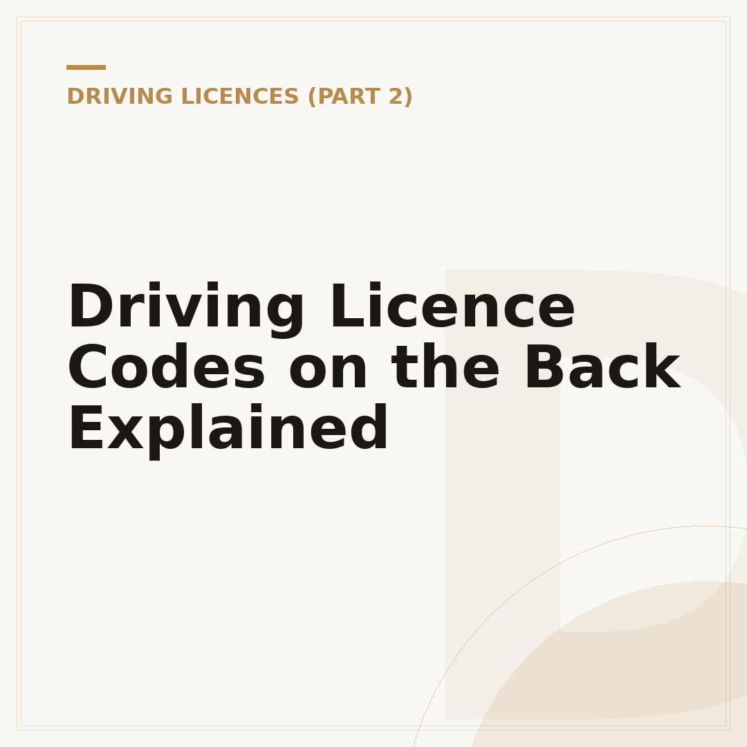 Driving Licence Codes on the Back Explained