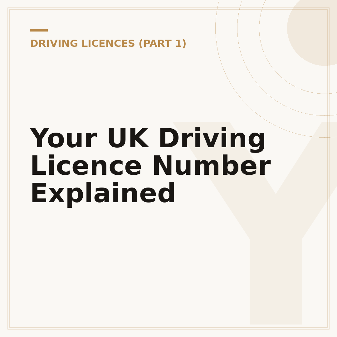 Your UK Driving Licence Number Explained
