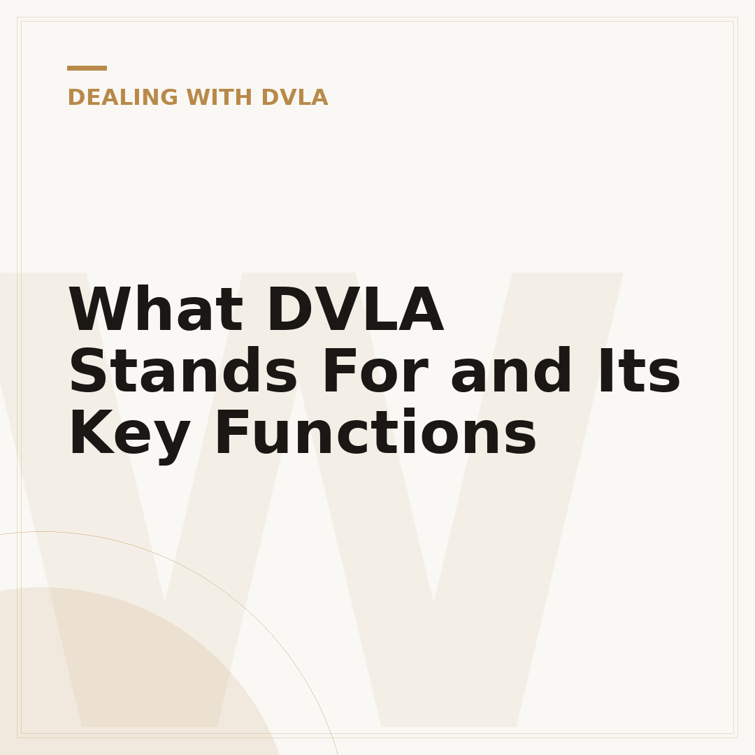 What DVLA Stands For and Its Key Functions