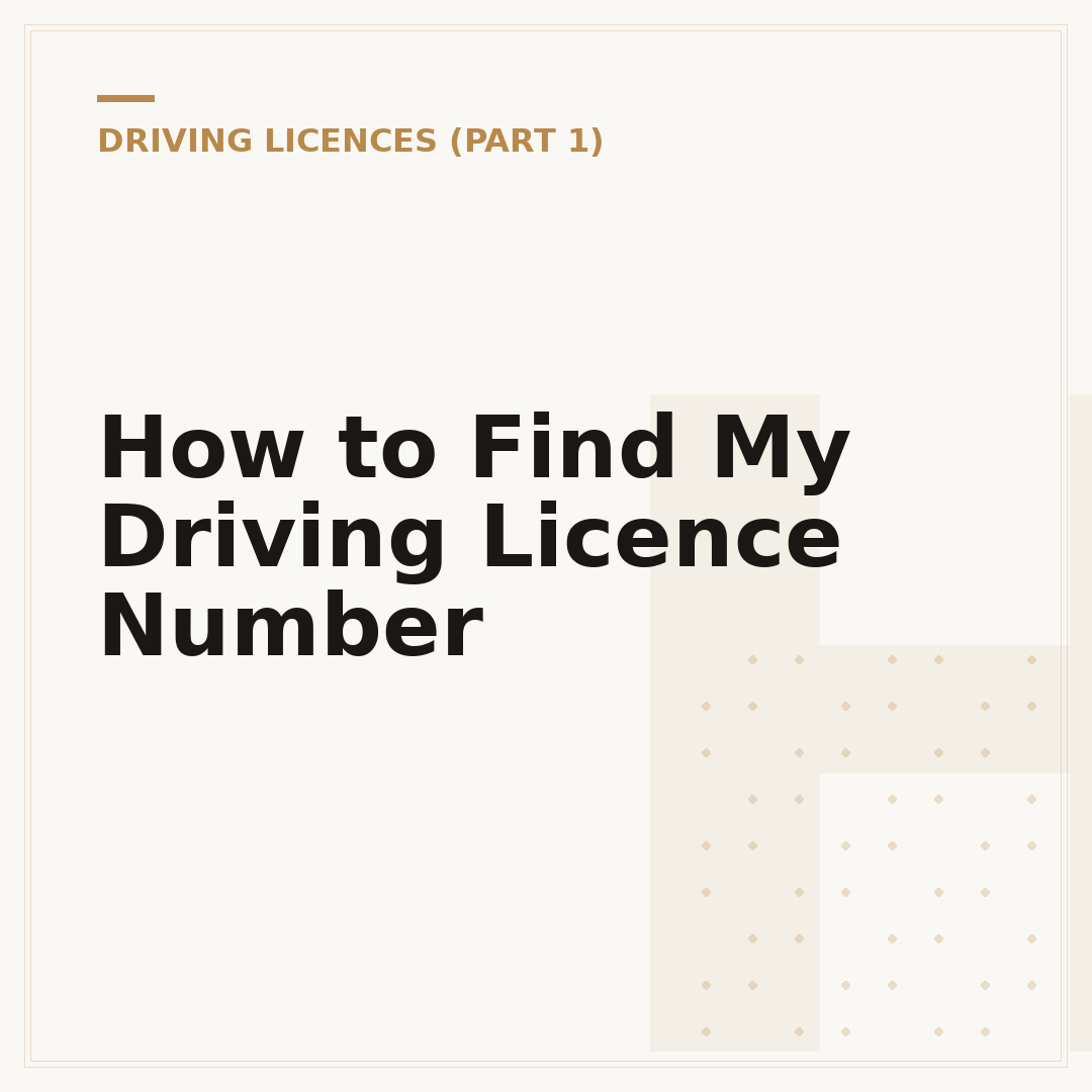 How to Find My Driving Licence Number