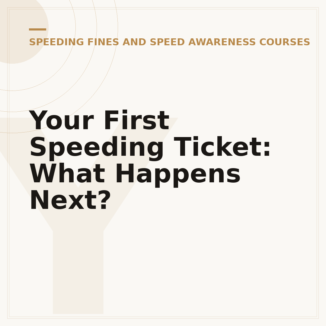 Your First Speeding Ticket: What Happens Next?