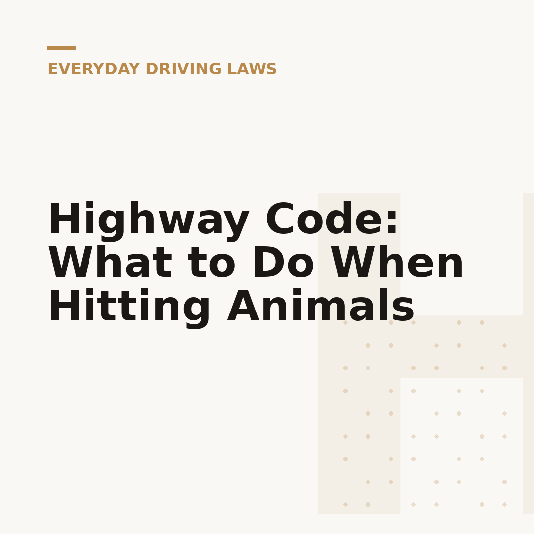 Highway Code: What to Do When Hitting Animals