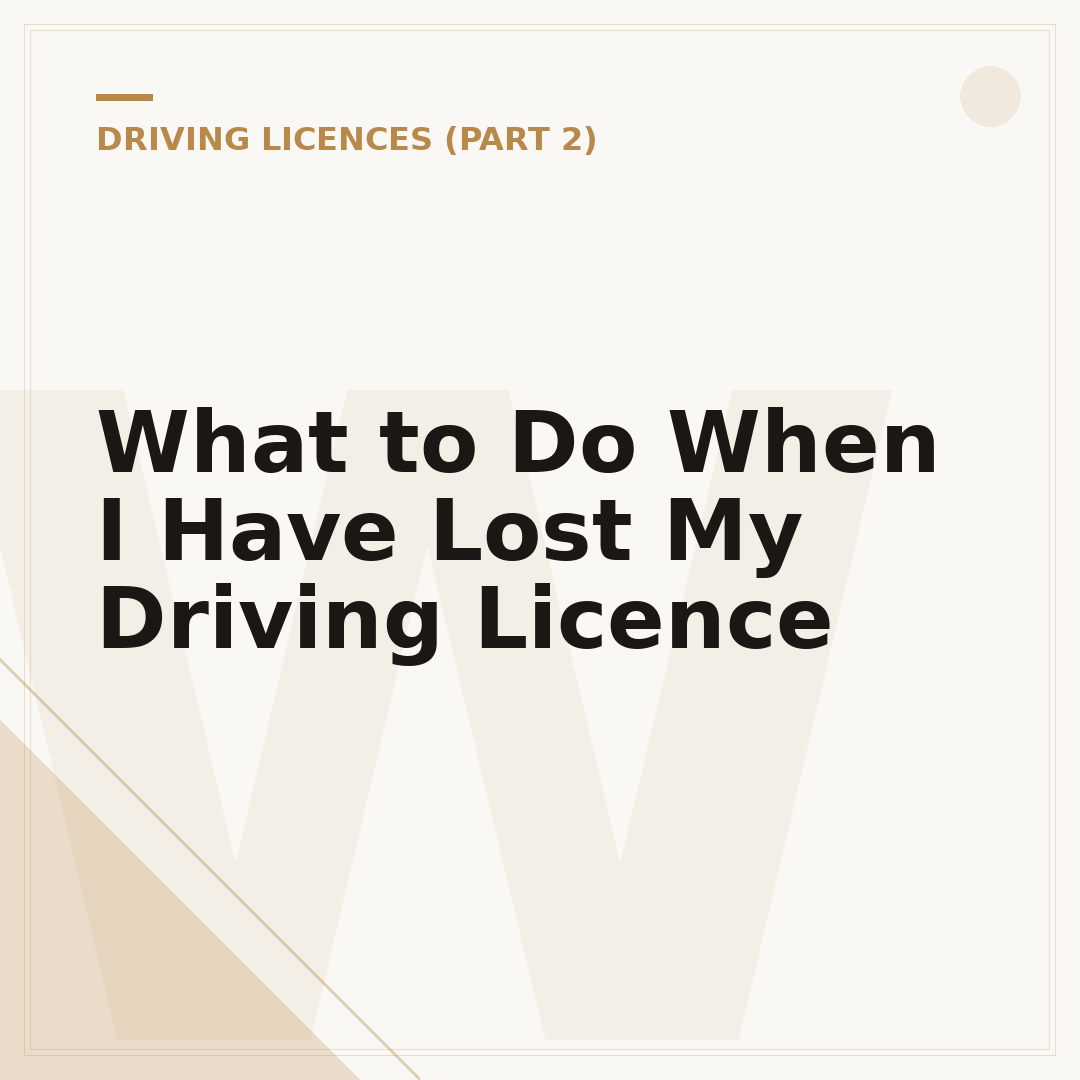 What to Do When I Have Lost My Driving Licence