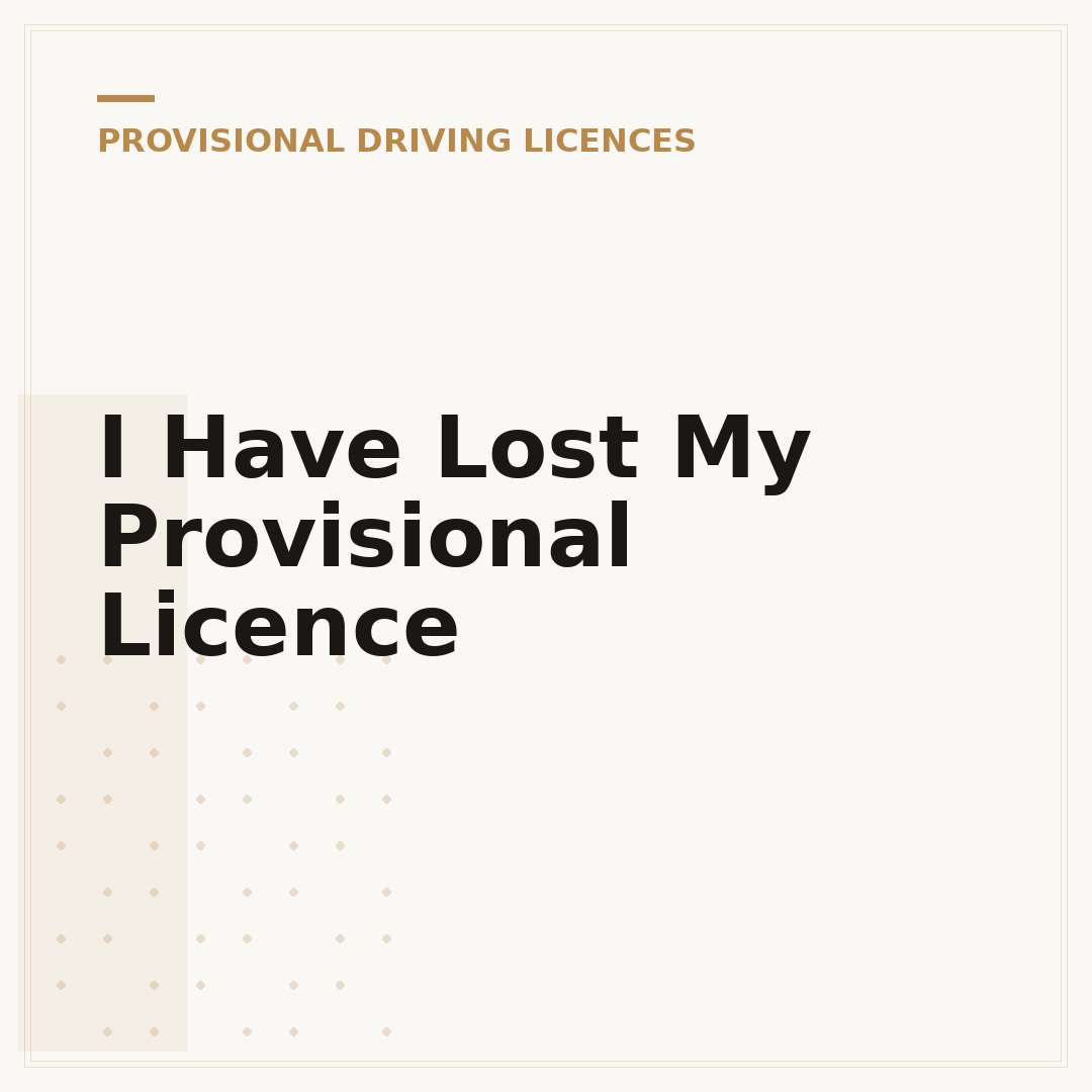 I Have Lost My Provisional Licence