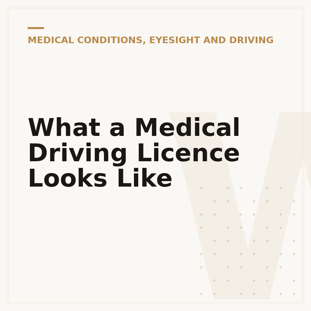 What a Medical Driving Licence Looks Like