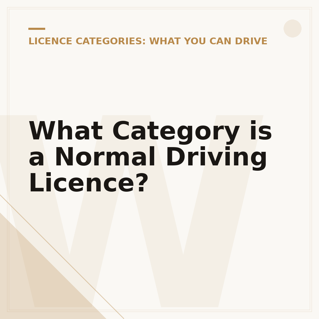 What Category is a Normal Driving Licence?