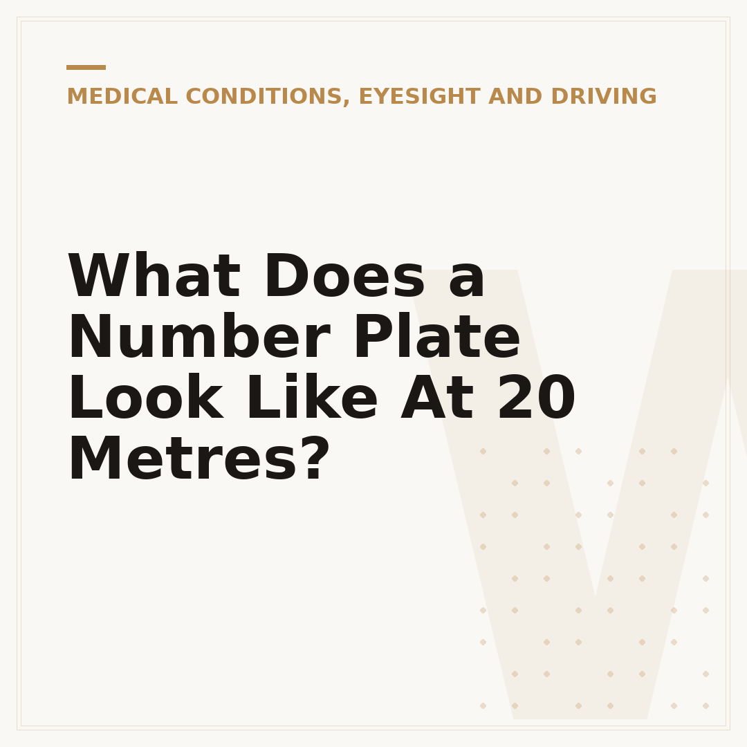 What Does a Number Plate Look Like At 20 Metres?