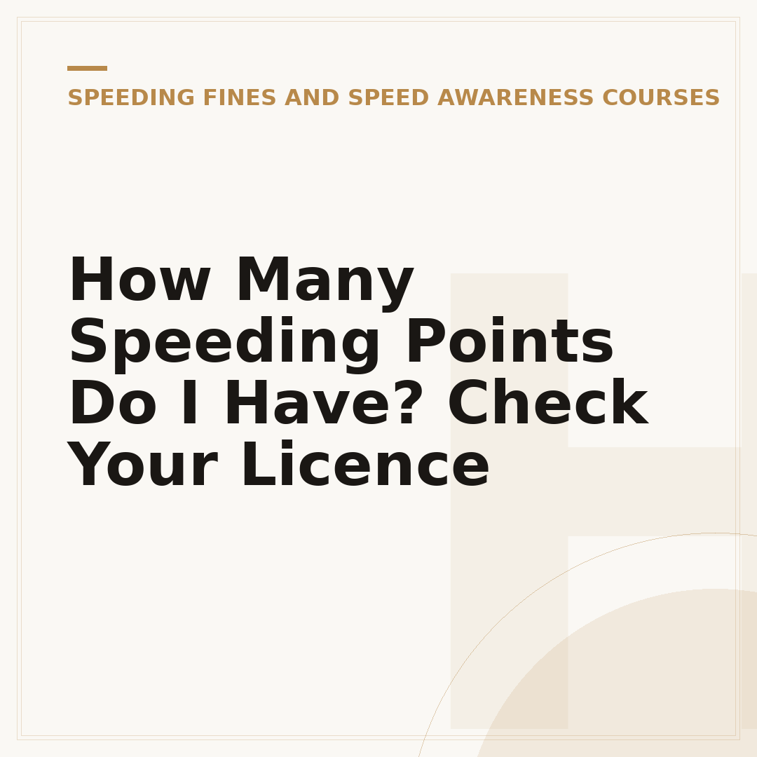 How Many Speeding Points Do I Have? Check Your Licence