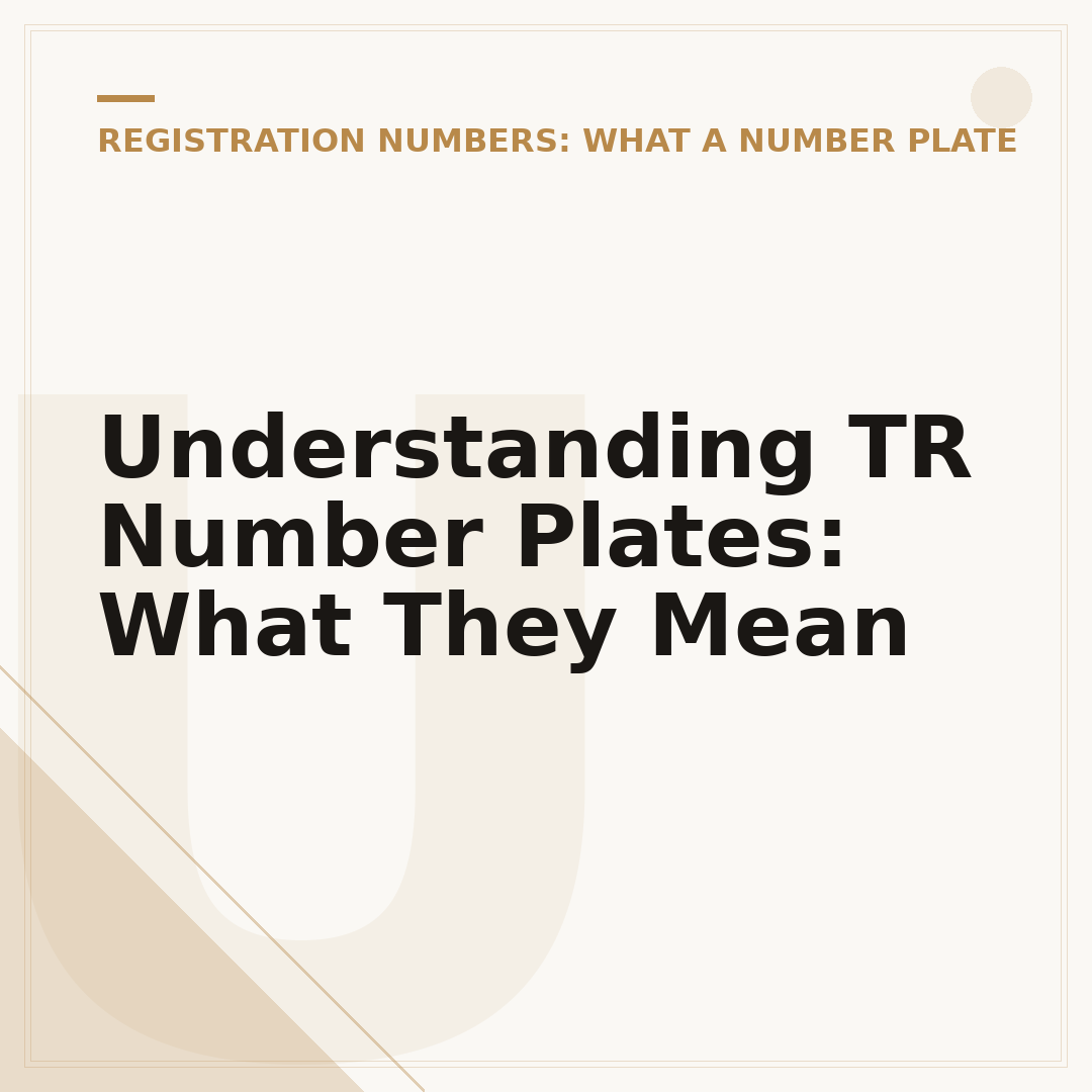 Understanding TR Number Plates: What They Mean