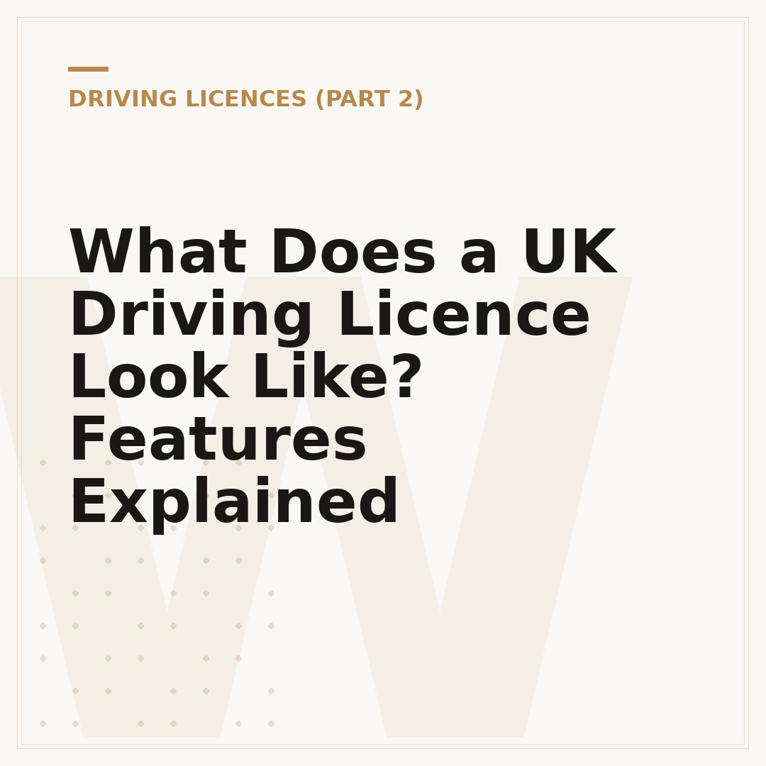What Does a UK Driving Licence Look Like? Features Explained