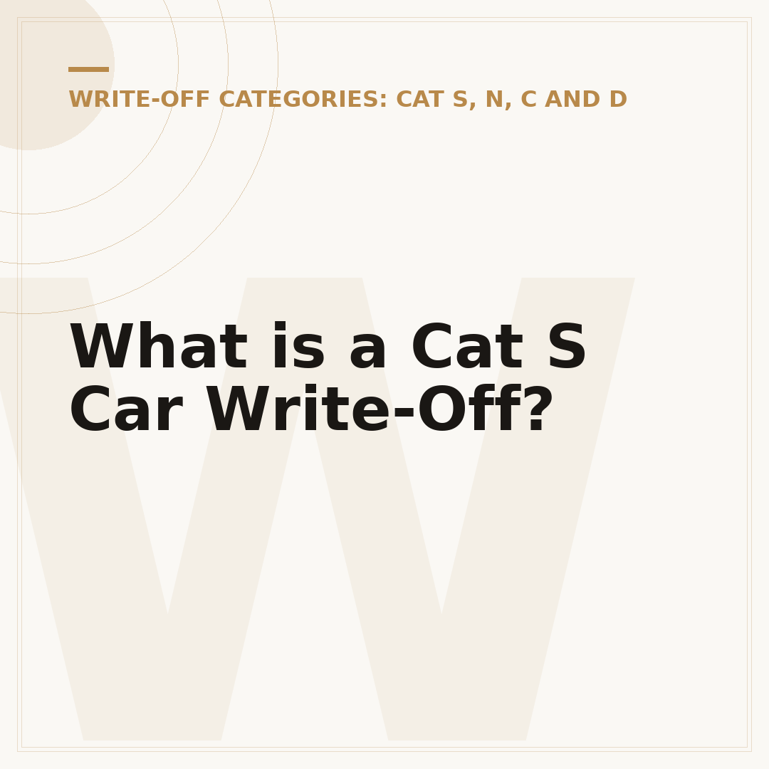 What is a Cat S Car Write-Off?