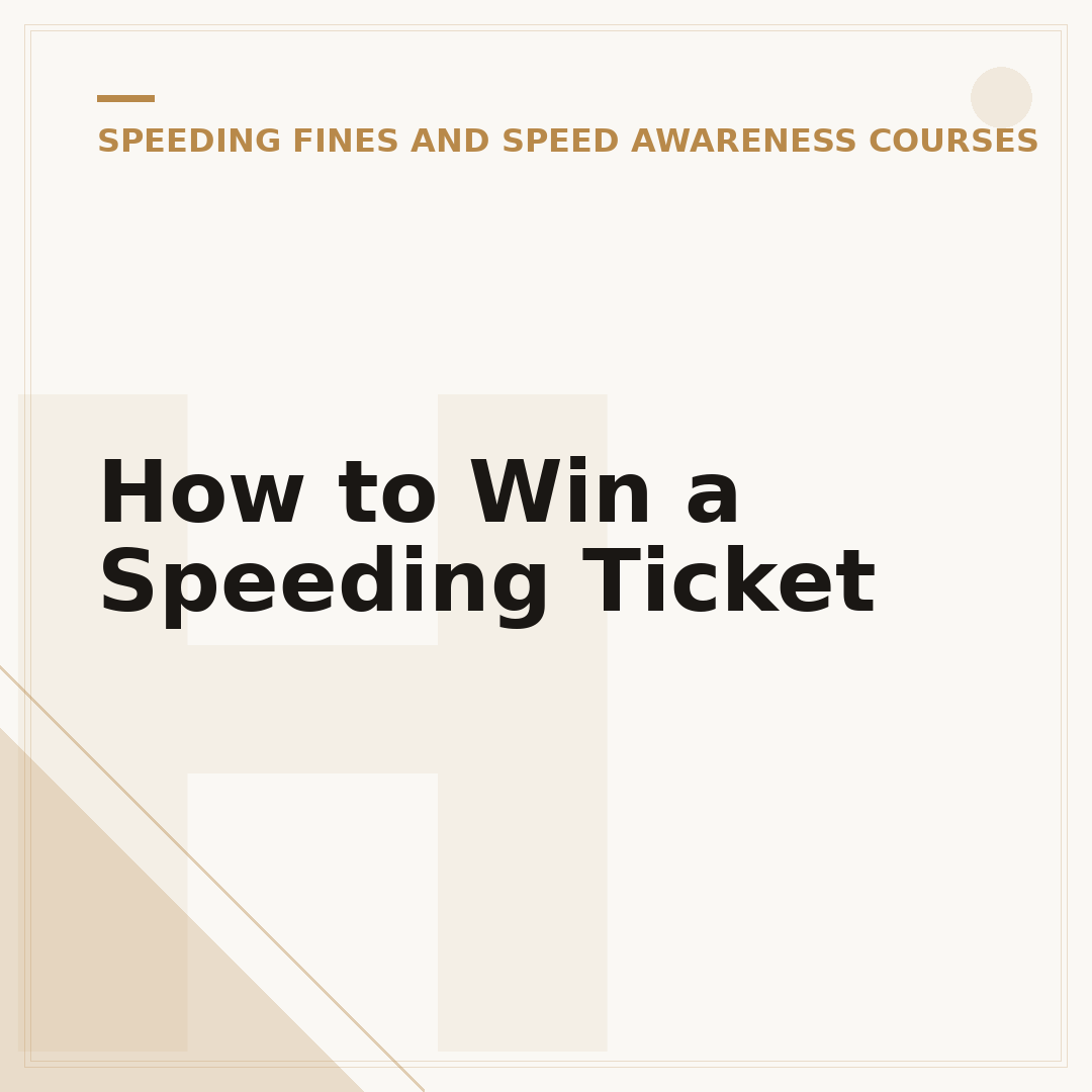 How to Win a Speeding Ticket